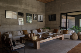 JUGO™ Creative Studio & Management Agency